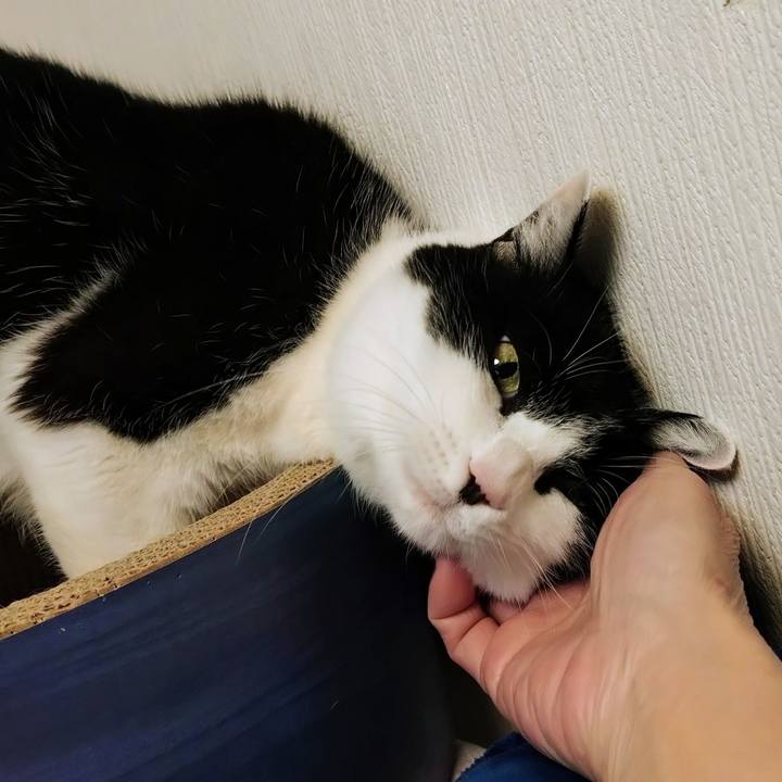 9e71b5cf af85 48e6 8105 63cae5a086ea 1773233525333