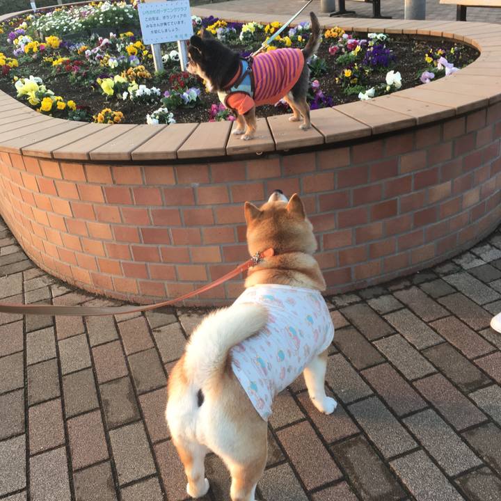 9e7237da fd9a 4ce6 a966 0863116f4911 1551781342046