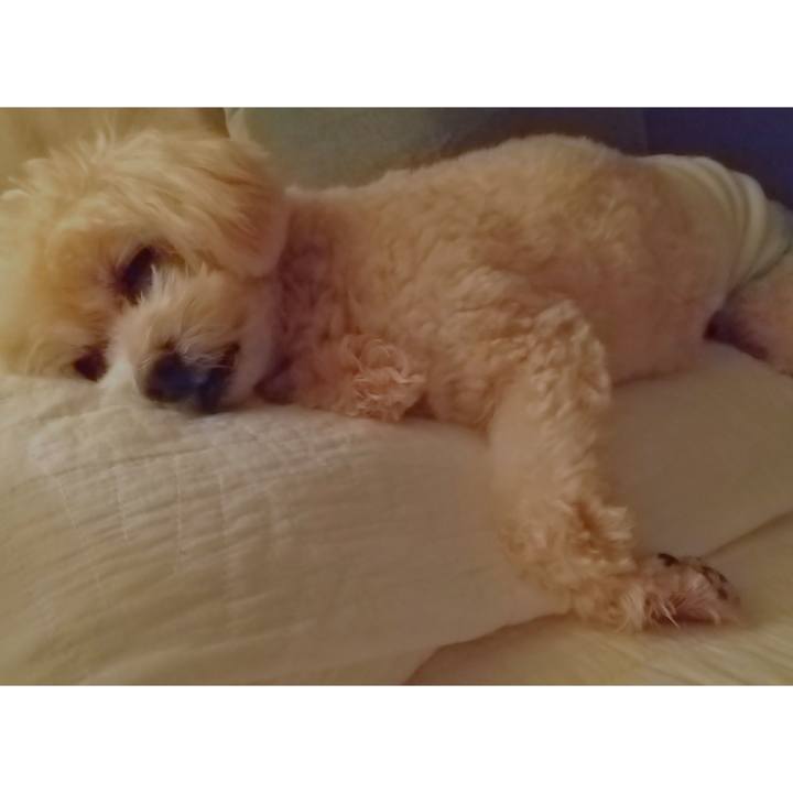 9e72a236 da07 4fdf bc61 82f067301fcf 1631456188651