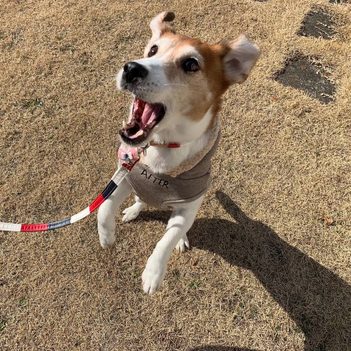 9e72ce04 0c2d 4c80 9841 d3ff54b13930 1550413853254