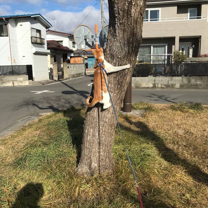 9e72e11f 64e9 4e4e 8e45 4f9de333f2e9 1515894147220