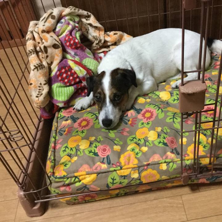 9e72fda5 75d4 4a6d bcd6 f276fa62cd11 1536667279098