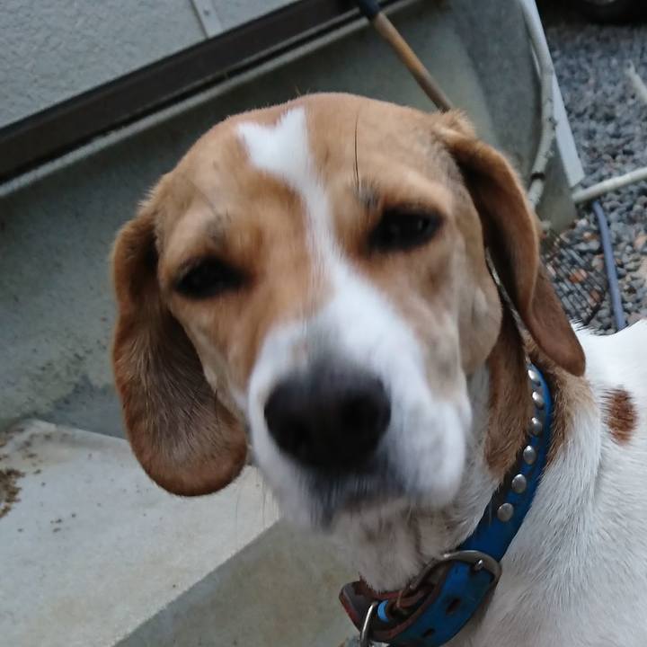 9e7329dc 5eaf 4f7b 8995 62b0db754615 1574753648082