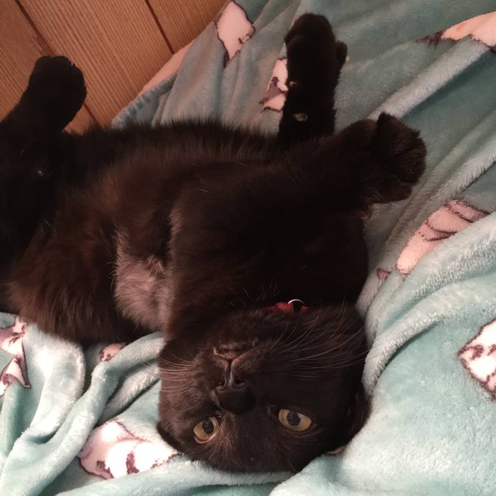 9e73425f 8dfe 45c4 b655 65b11a6e1b49 1510181940898