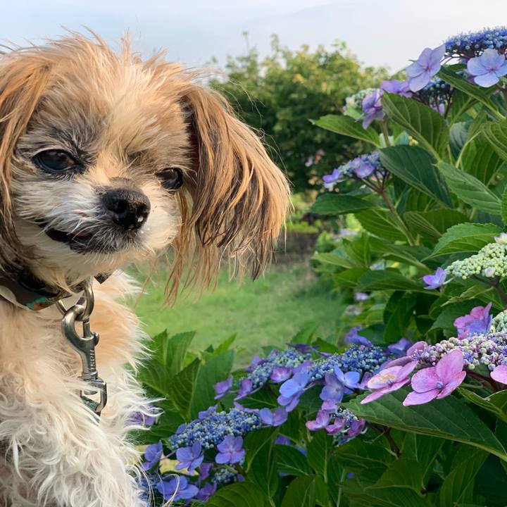 9e734576 6cdc 43ee a215 2618bfbceef3 1751891524509