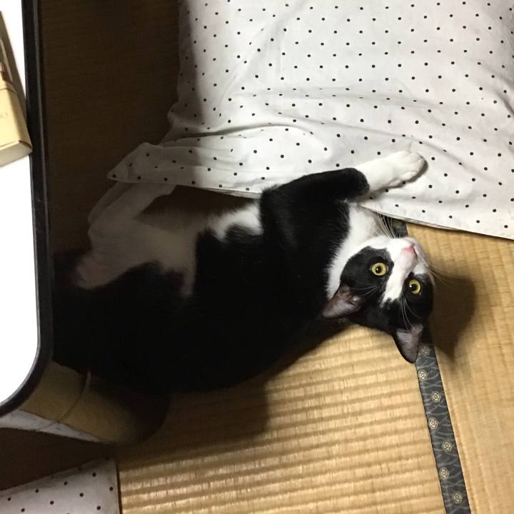 9e7347c3 089d 46dd 8c25 6e73f8809686 1657193829128