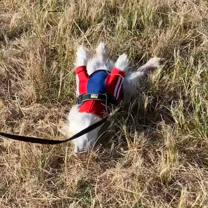 9e735992 2d5f 4967 85aa f5b091559362 1668645657550