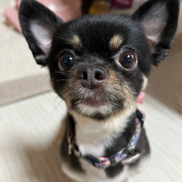 9e736c53 4898 45fe a95b f548ca5bd2e5 1659495657868