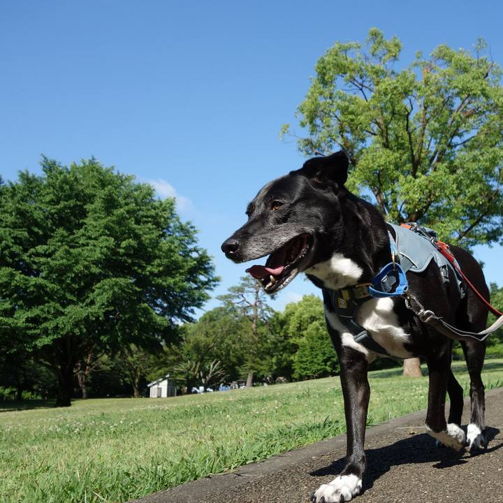 9e73b3ba e3e6 4a36 a279 2b37d31e21e3 1717548280374