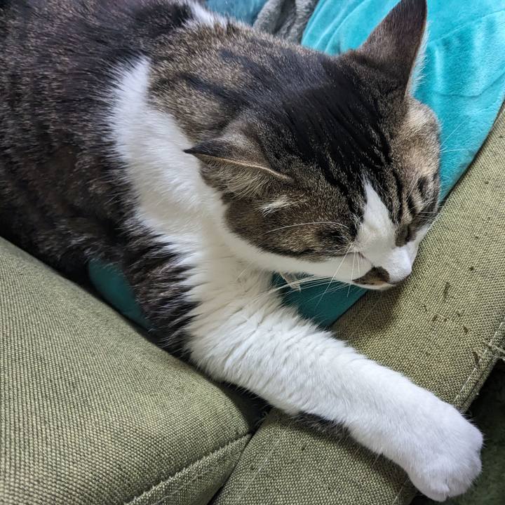 9e740a63 5a82 4bd2 8318 185abb87e1bb 1710739314247