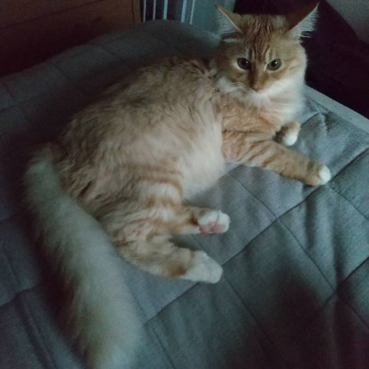 9e741c5e 41de 4ded 82dd 553530b125f7 1625781061900