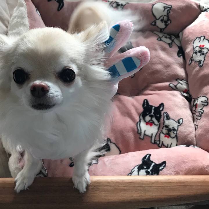 9e741c98 3281 4579 9f1d 90f4b941c264 1510365902071