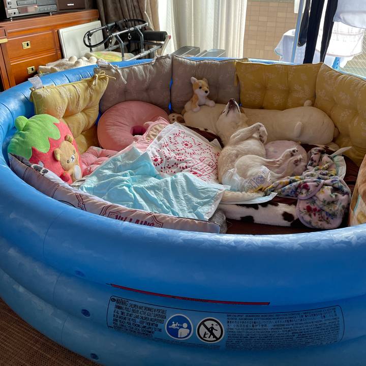 9e748ebc b776 4051 9ccc b4d143708041 1678875962416