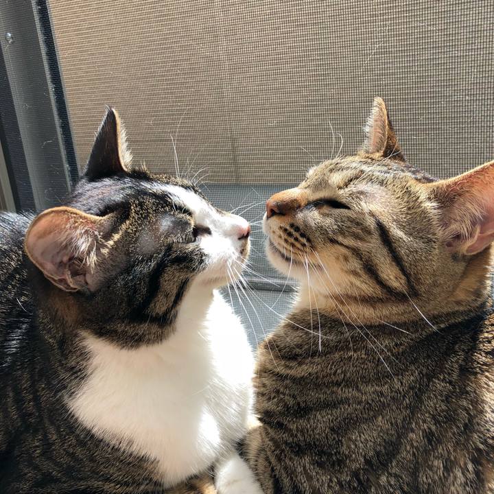 9e7493a3 cee7 4f80 8051 e45ee6e7f14f 1522082980678