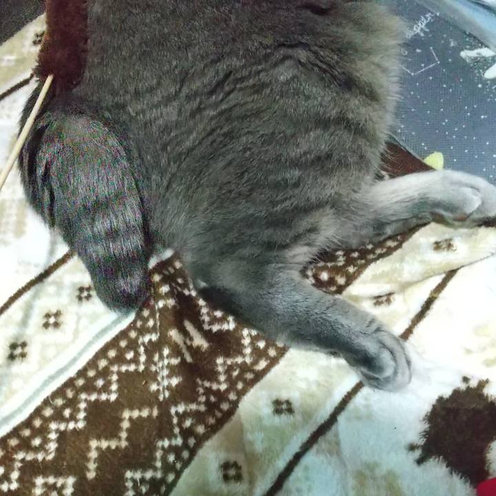 9e74c6d3 448f 4b0c 9fe6 308befb6c2db 1680347459612