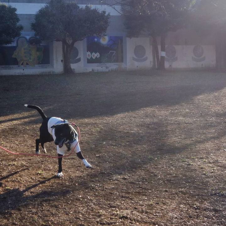 9e74fda1 c0a7 4ac9 8387 695c9ced77d9 1706749211062