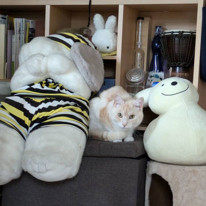 9e7556f1 be0a 4f41 bda4 0f06586c14c6 1720326176823