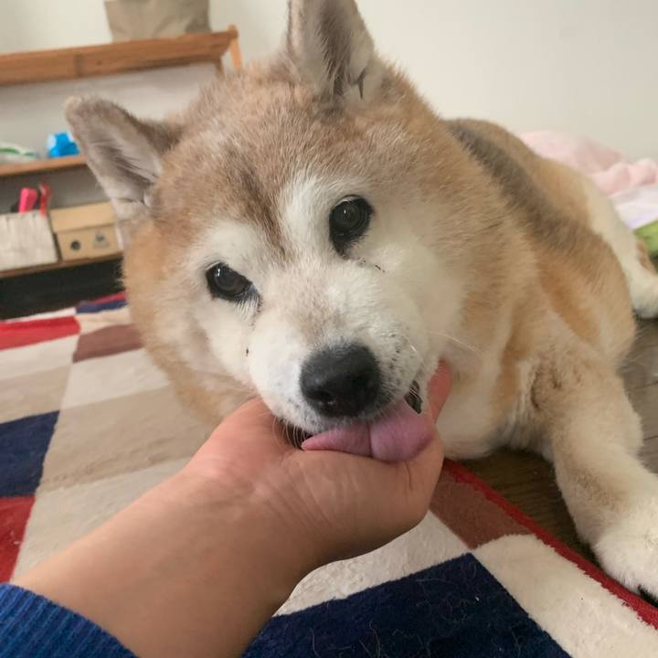 9e755827 8214 4210 8bb3 5120f9ba2921 1655019780531