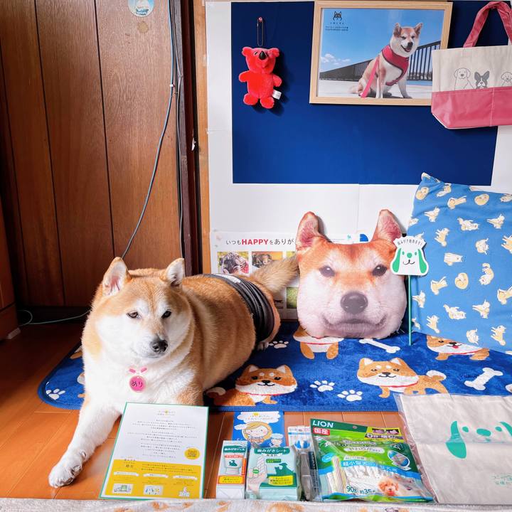 9e755c7d 78b5 4239 aff2 f844c675485b 1672287068264