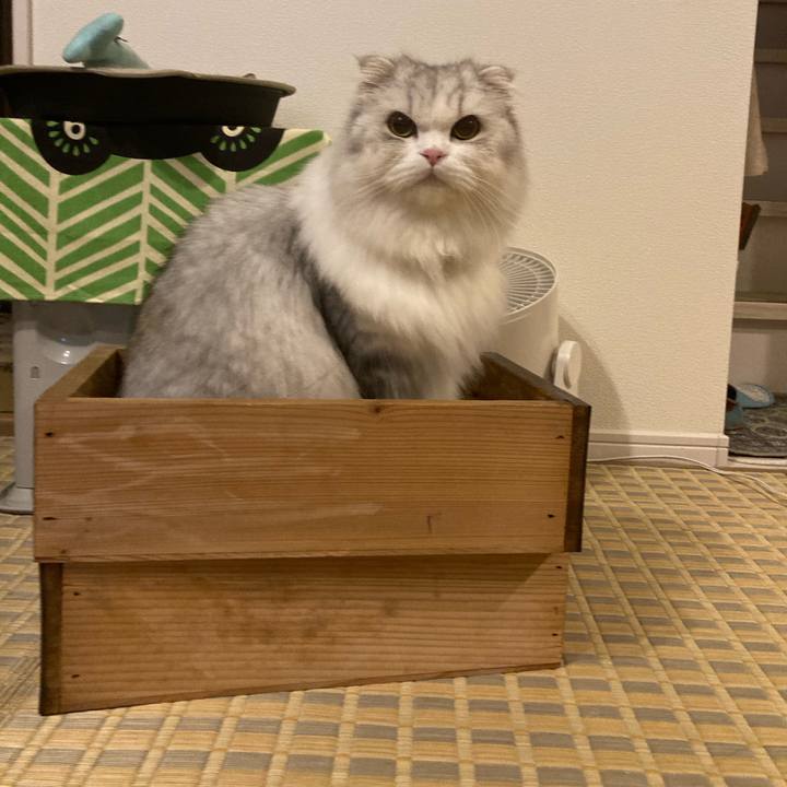 9e756678 6b92 4bcb a96a 2c34d29ccd06 1666446383611