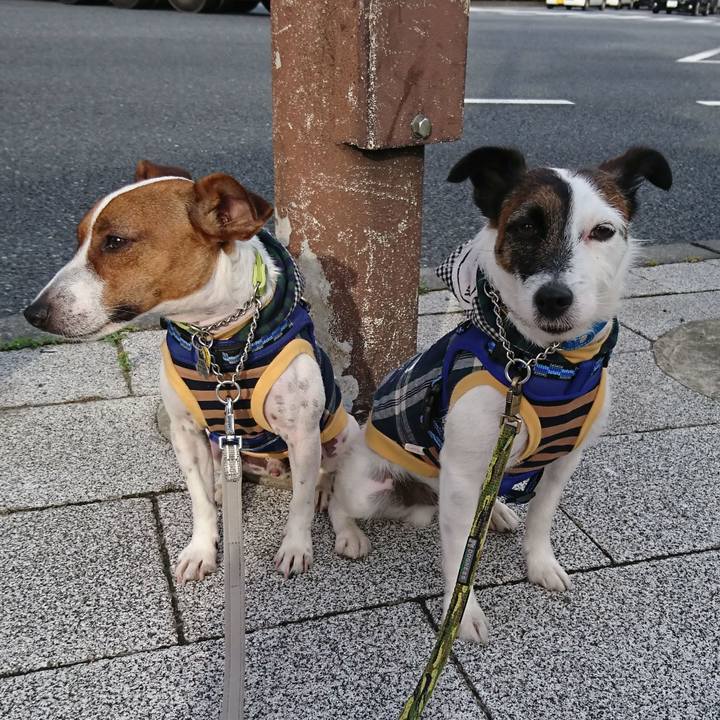 9e7568a0 6478 4623 aa8d 135571df7ed7 1559253285241