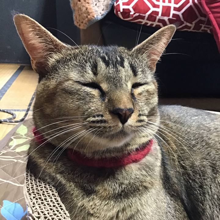 9e75cc4a a575 4110 95c9 bf19a97148b4 1602896604016