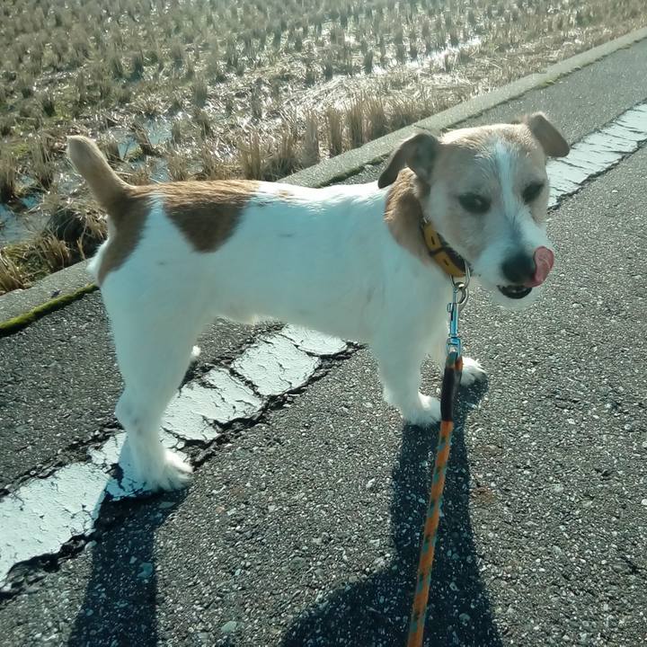 9e75e01e 0a55 4e2e a4ff 16446f96a48a 1515317607669