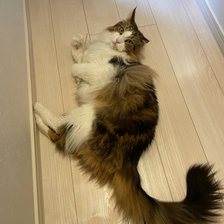 9e760959 c08a 44bd 8343 b5064bdcb036 1685648187044