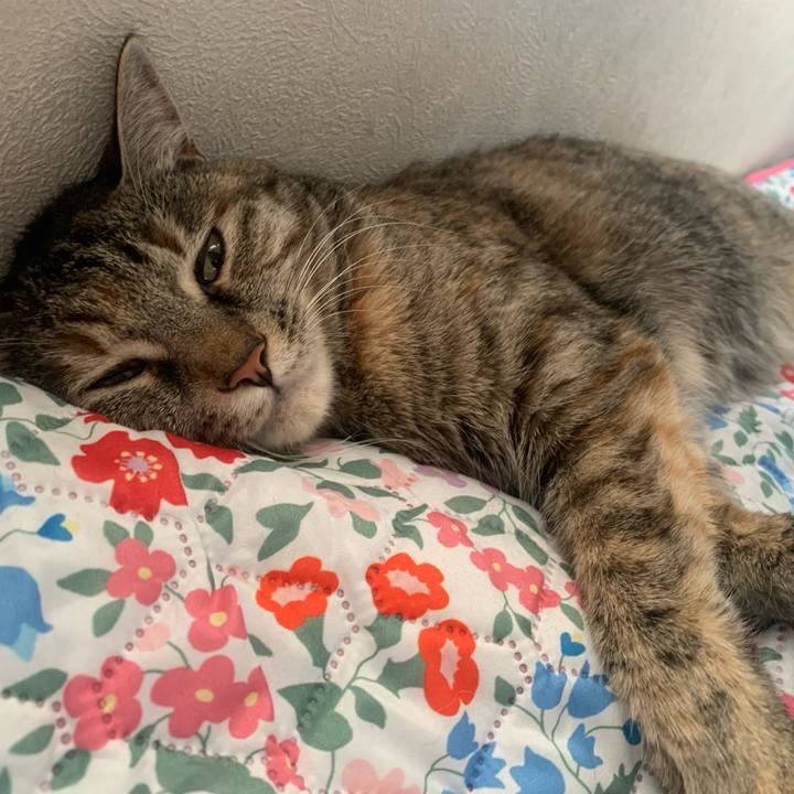 9e762bab e552 4702 9d68 f3fcef7a1052 1659851208493