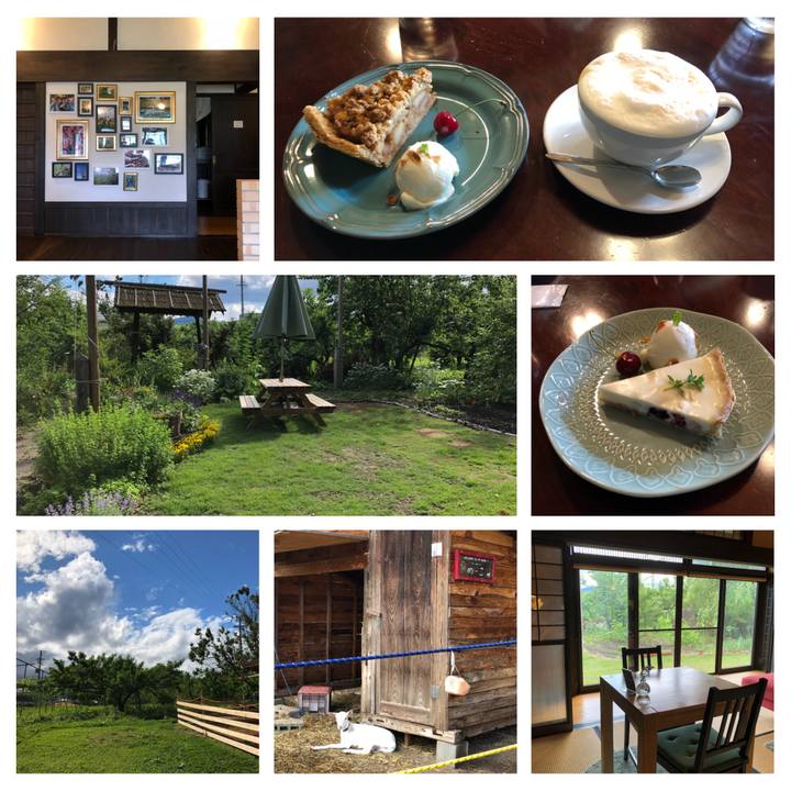 9e76671a 15e6 4ea9 8025 299b779d8957 1528801524247