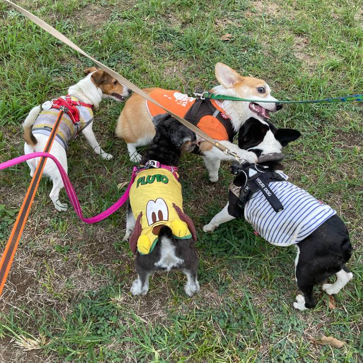 9e767982 5a6f 4db4 925a f64eb6b81404 1693485080795