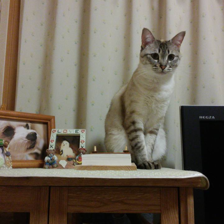 9e769db9 97e6 45c7 b3c5 88a1540d4ac1 1525616205210