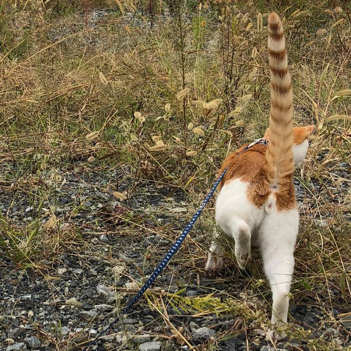 9e76a26c a1c6 4918 bbb8 4e4e3b84ef99 1539580072901