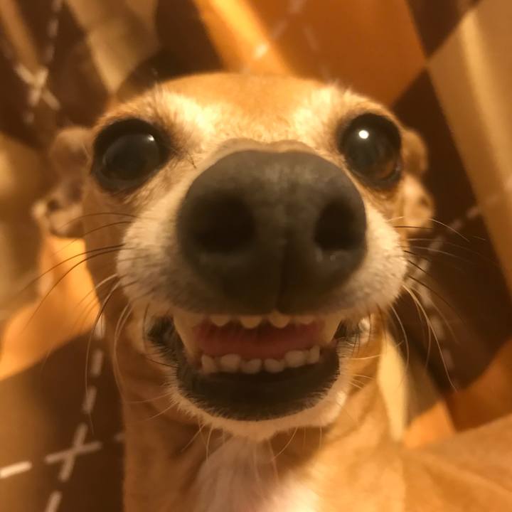 9e76b886 ab99 48a6 a5c9 28f5ce8bedc2 1516453567463