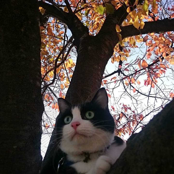 9e76e835 beb2 4414 95d6 aa02324236c7 1543482086195