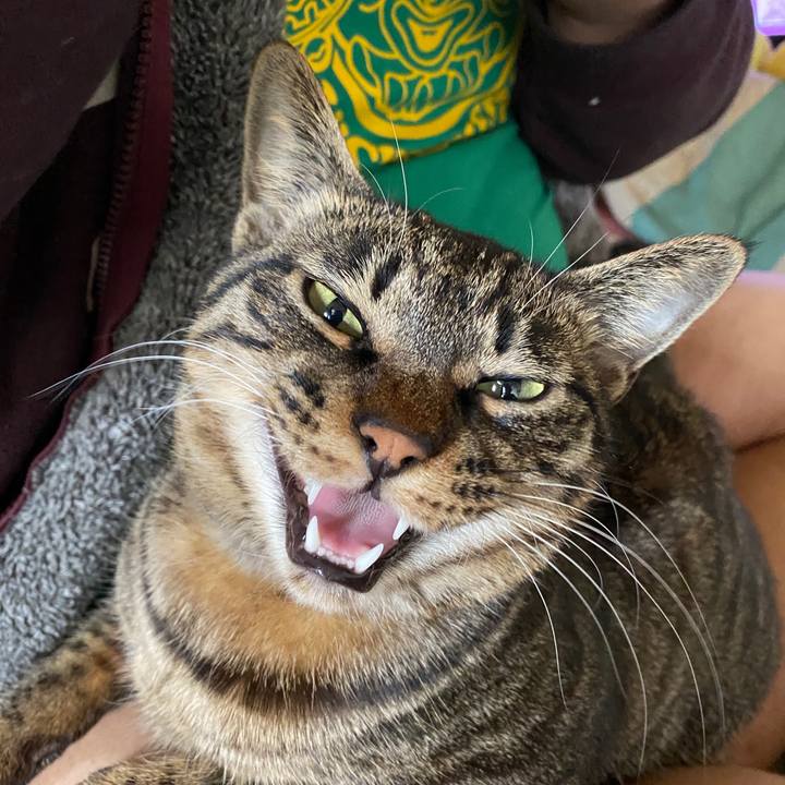 9e76fd42 788b 4da1 a519 ec3c735a76f5 1580093191979