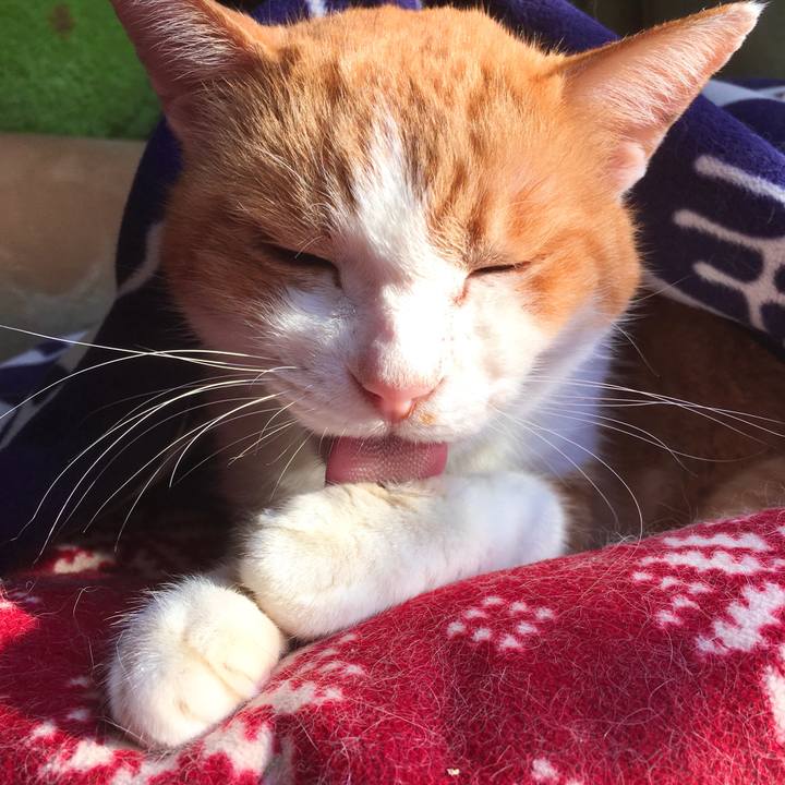 9e774cdb 0ea0 4c77 8495 0c5c29e8976e 1575958995267