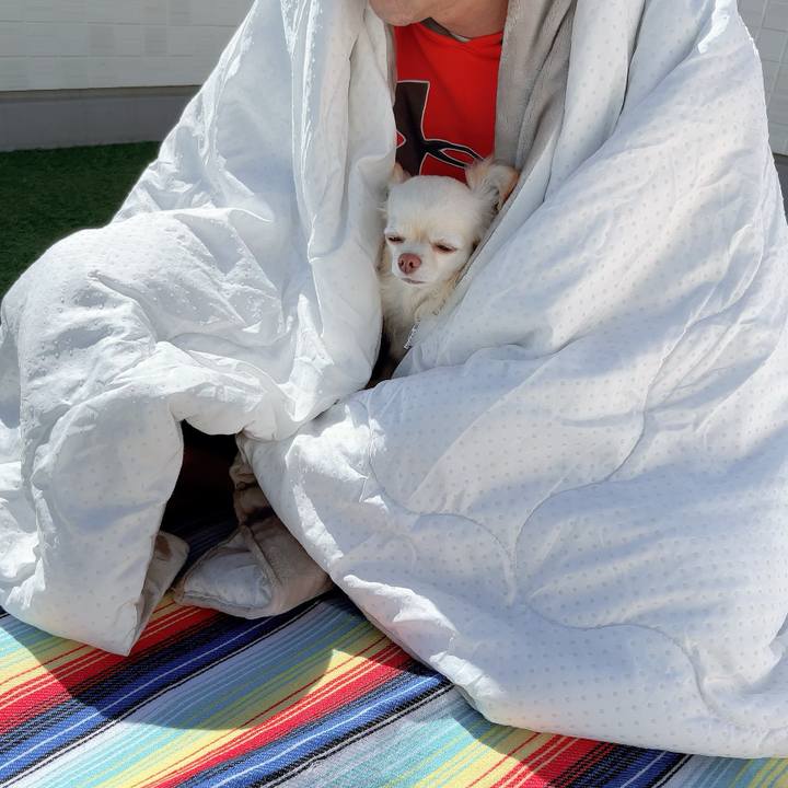 9e77aafd 6c91 40a9 89ad 9dea04ed7ba4 1709975137589