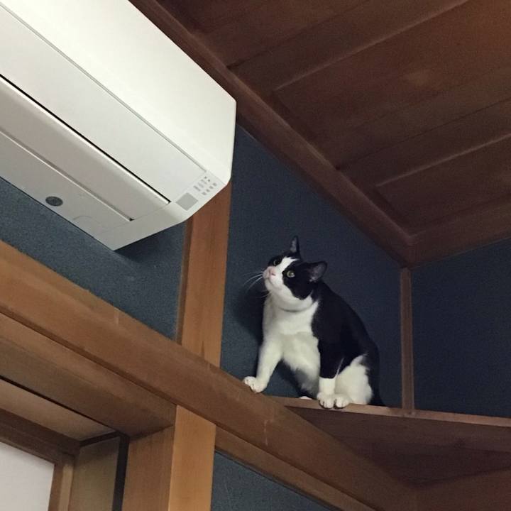 9e77dba4 a35b 4772 9410 4625b2ed336f 1732532508830