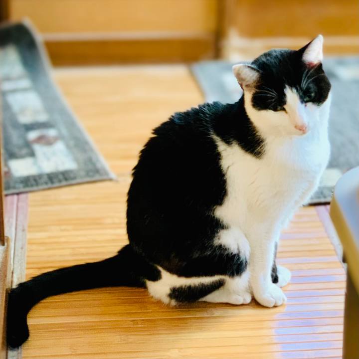 9e77ecb4 508f 42ce 9de5 9dcf2f68fbdd 1605059687608