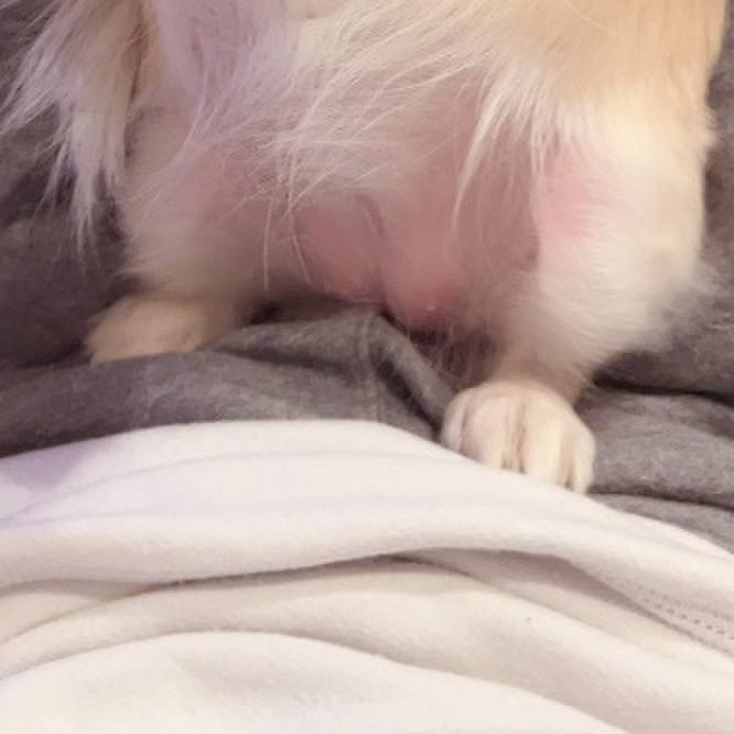 9e789d21 84e4 4f9b 9b93 159f99a276c1 1737203434993