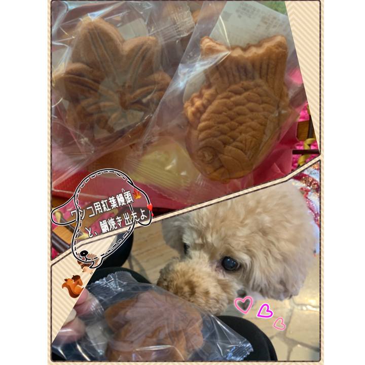 9e78d739 d98a 4280 af0c 32830719376c 1573454929718