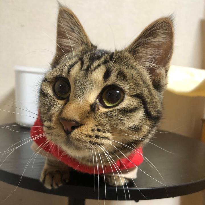 9e78d8f8 1eaf 455c 975c b99a3943f33f 1740487956446