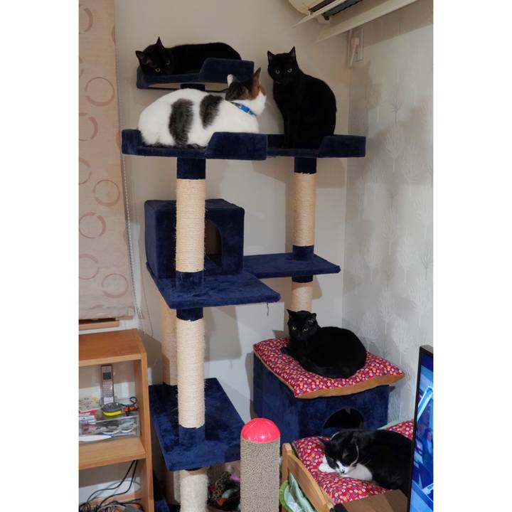 9e791b77 f442 43ba 9562 b9b02c3bf797 1609160414906