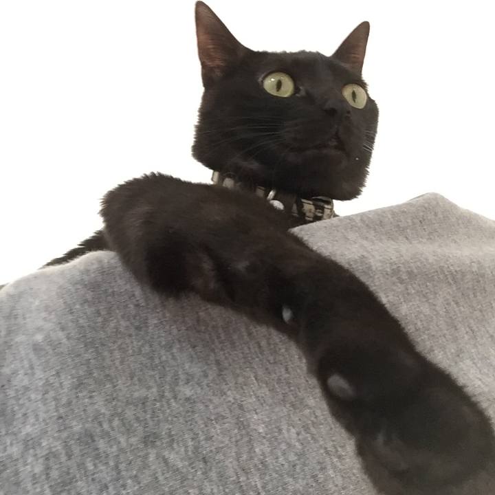 9e793a89 da83 4e8e b686 a3c688094d9c 1518177565165