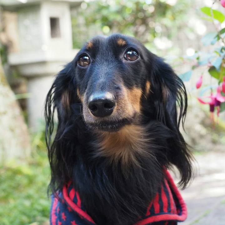 9e793ca5 255e 4b6a 93ee 7b12d249800e 1510281528351