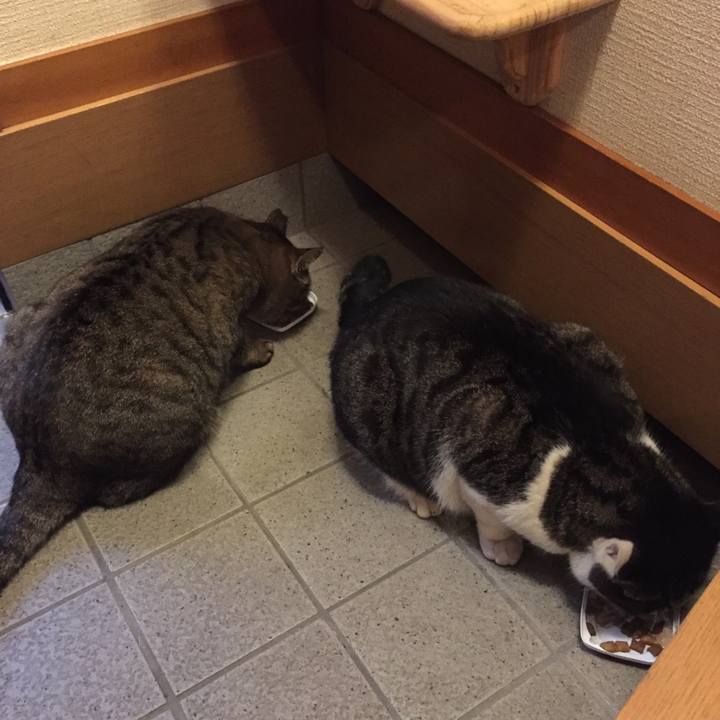 9e79bb3c 7d8d 4b71 922f e24ebed9cdde 1510646325876