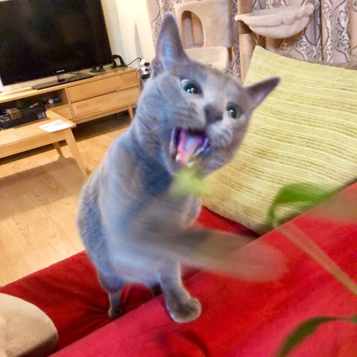 9e79d746 8cf5 41d7 8787 d2a4a22506db 1626156413154