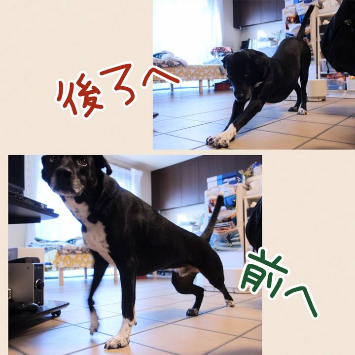 9e79d8d1 4504 43d9 8ba1 40811f77e007 1678327822112