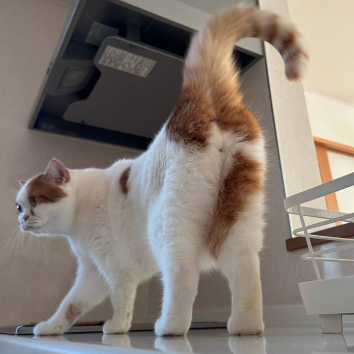 9e7a2372 3356 4371 b6cd a7f0a5c2f819 1767581694740